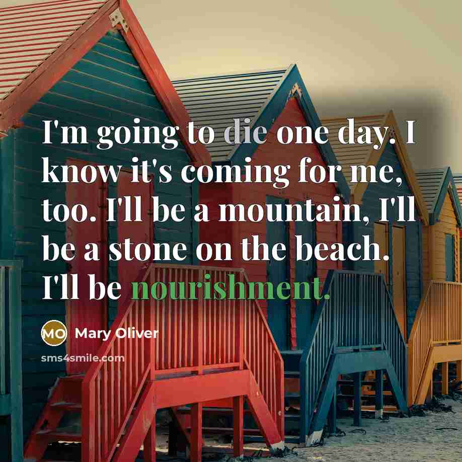 “I'm going to die one day. I know it's coming for me, too. I'll be a mountain, I'll be a stone on the beach. I'll be nourishment.” quote by Mary Oliver