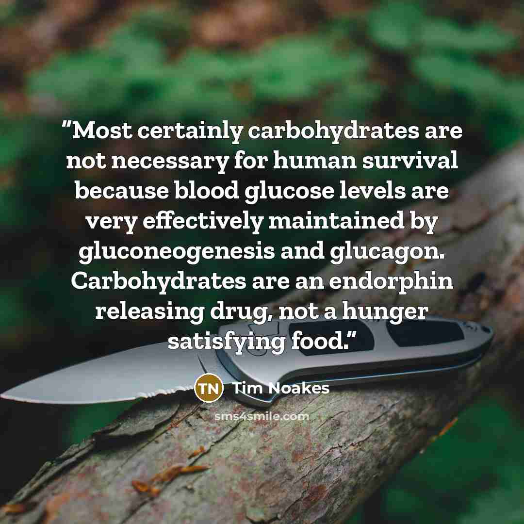 “Most certainly carbohydrates are not necessary for human survival because blood glucose levels are very effectively maintained by gluconeogenesis and glucagon. Carbohydrates are an endorphin releasing drug, not a hunger satisfying food.” quote by Tim Noakes