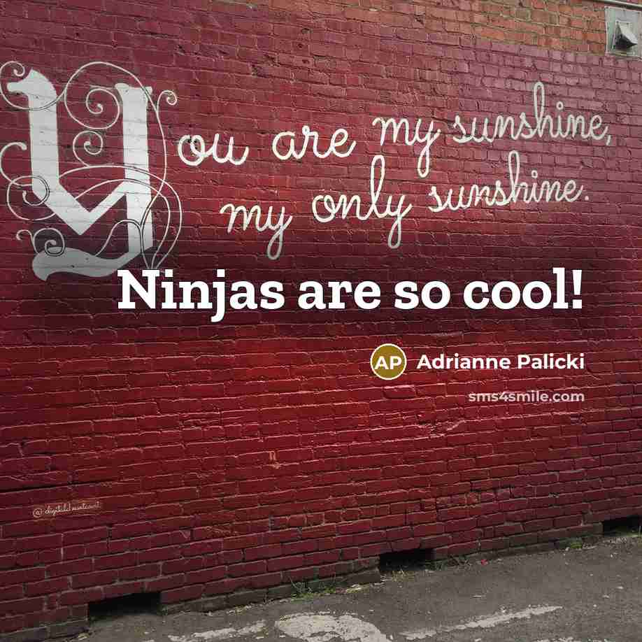 “Ninjas are so cool!” quote by Adrianne Palicki