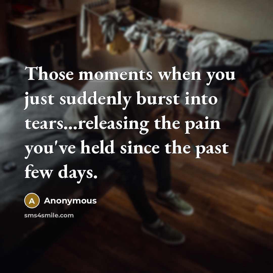 “Those moments when you just suddenly burst into tears...releasing the pain you've held since the past few days.” quote by Anonymous