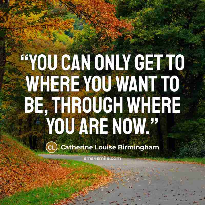 “You can only get to where you want to be, through where you are now.” quote by Catherine Louise Birmingham