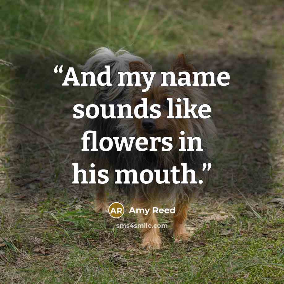 “And my name sounds like flowers in his mouth.” quote by Amy Reed