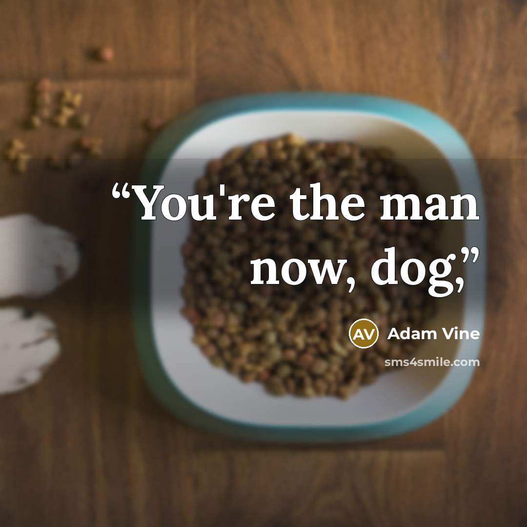 “You're the man now, dog,” quote by Adam Vine