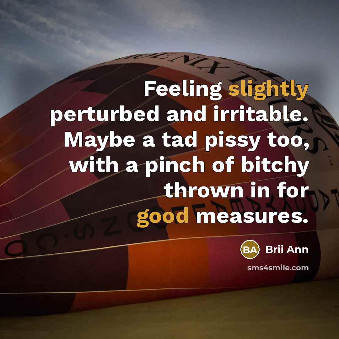 “Feeling slightly perturbed and irritable. Maybe a tad pissy too, with a pinch of bitchy thrown in for good measures.” quote by Brii Ann