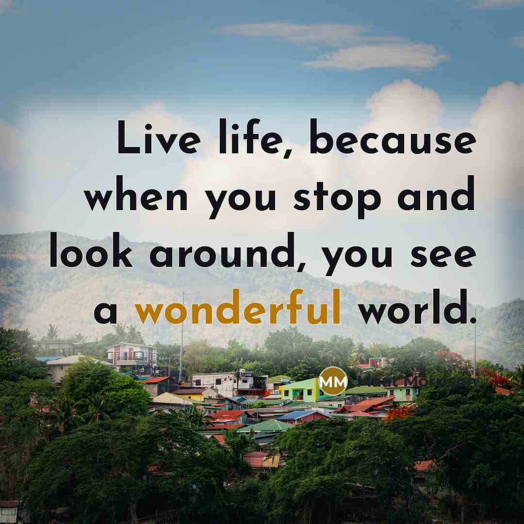 “Live life, because when you stop and look around, you see a wonderful world.” quote by Maat Morrison