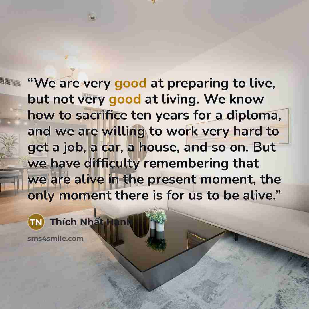 “We are very good at preparing to live, but not very good at living. We know how to sacrifice ten years for a diploma, and we are willing to work very hard to get a job, a car, a house, and so on. But we have difficulty remembering that we are alive in the present moment, the only moment there is…” quote by Thích Nhất Hạnh