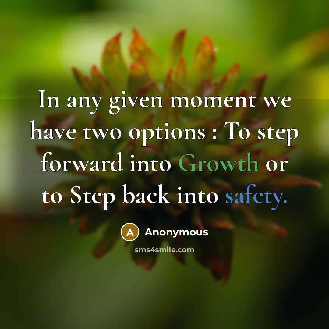 “In any given moment we have two options : To step forward into Growth or to Step back into safety.” quote by Anonymous