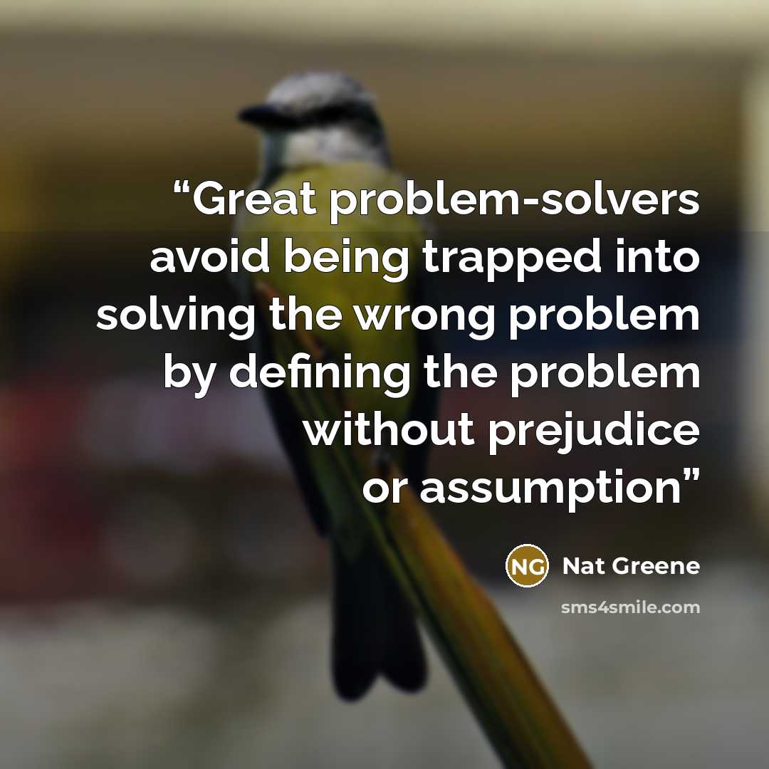 “Great problem-solvers avoid being trapped into solving the wrong problem by defining the problem without prejudice or assumption” quote by Nat Greene