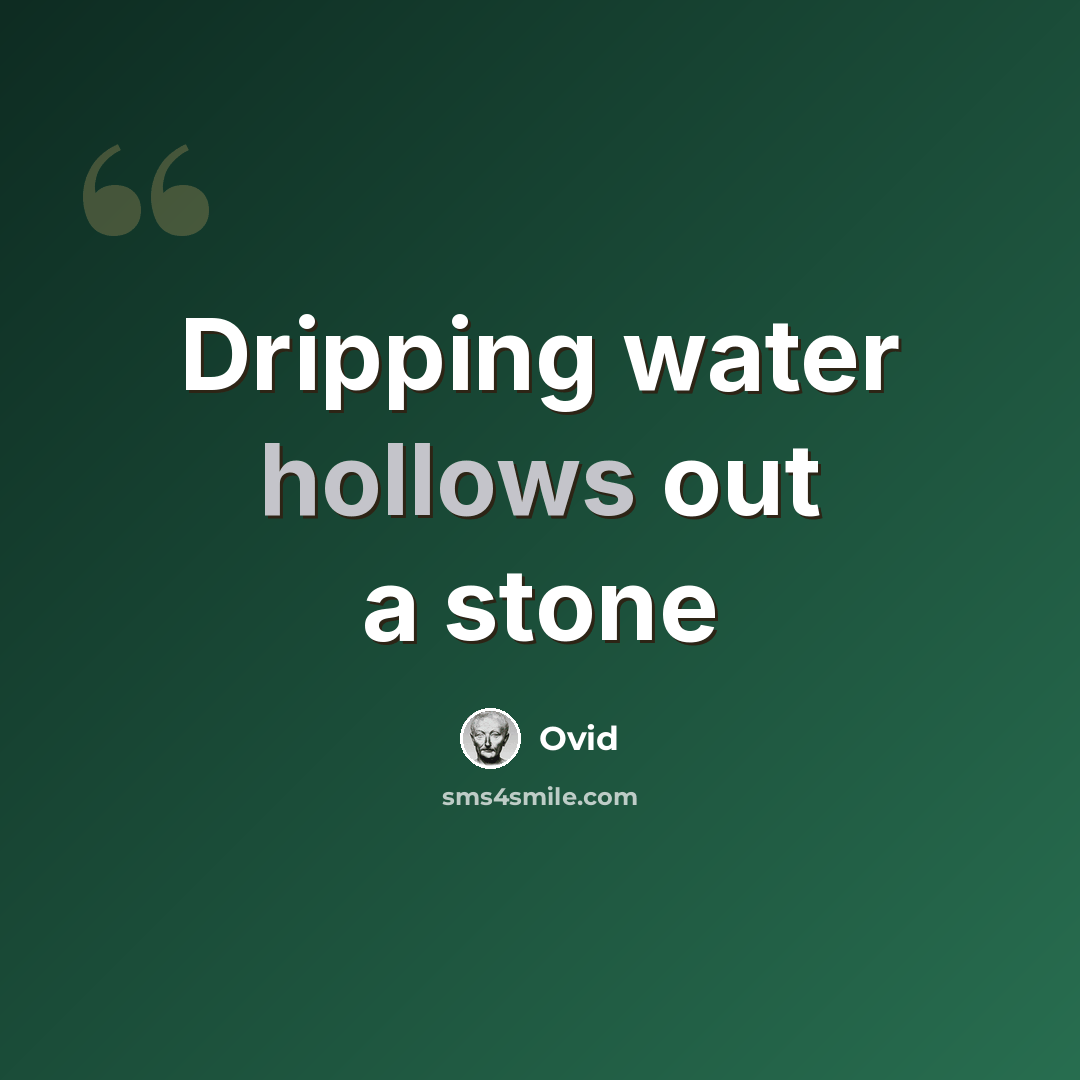 “Dripping water hollows out a stone” quote by Ovid
