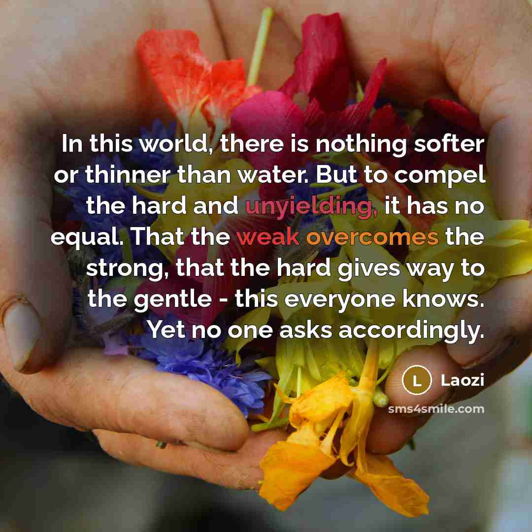 “In this world, there is nothing softer or thinner than water. But to compel the hard and unyielding, it has no equal. That the weak overcomes the strong, that the hard gives way to the gentle - this everyone knows. Yet no one asks accordingly.” quote by Laozi