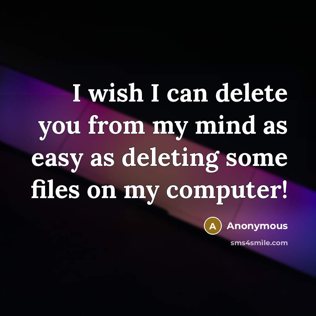 “I wish I can delete you from my mind as easy as deleting some files on my computer!” quote by Anonymous