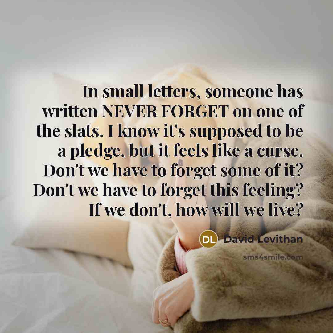 “In small letters, someone has written NEVER FORGET on one of the slats. I know it's supposed to be a pledge, but it feels like a curse. Don't we have to forget some of it? Don't we have to forget this feeling? If we don't, how will we live?” quote by David Levithan