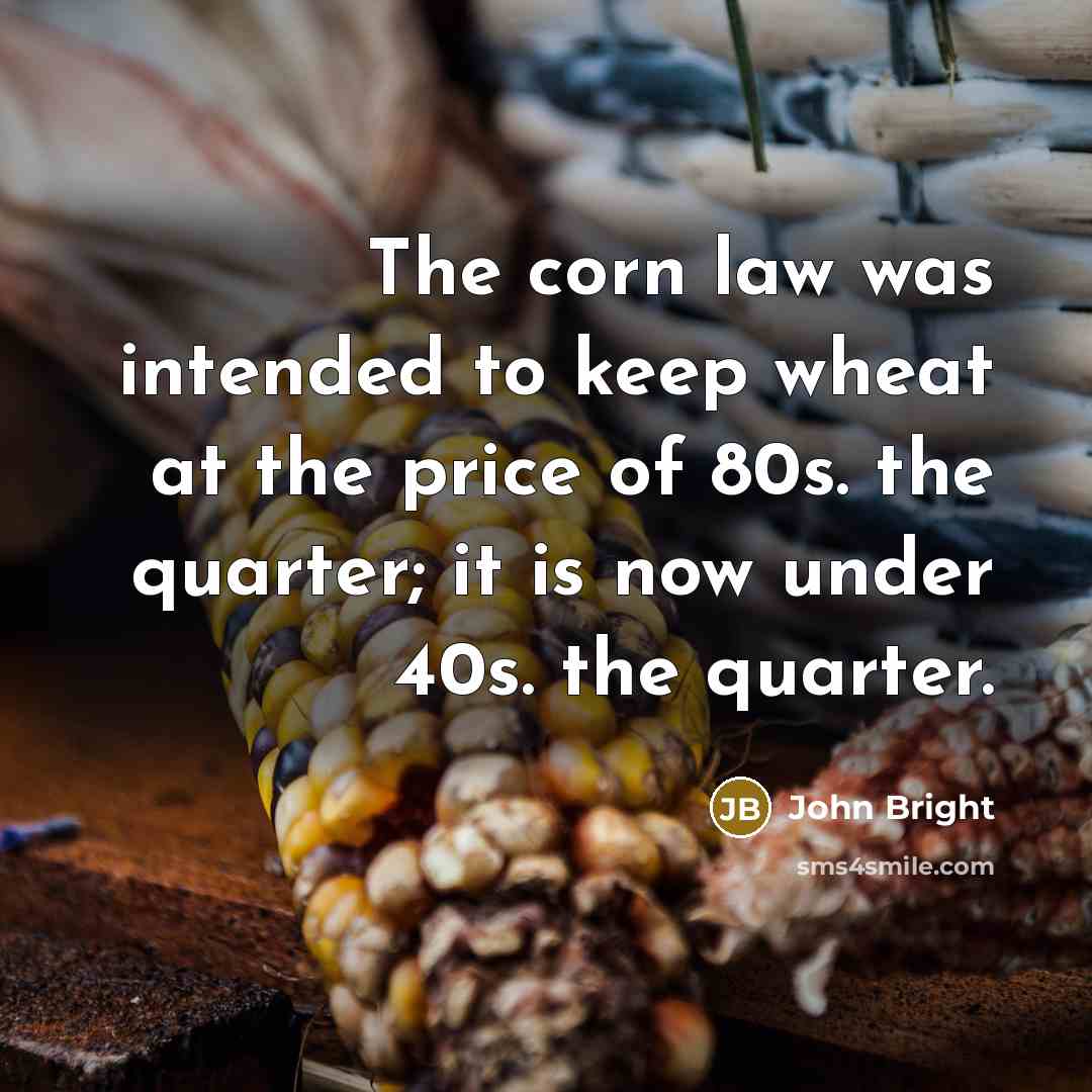 “The corn law was intended to keep wheat at the price of 80s. the quarter; it is now under 40s. the quarter.” quote by John Bright