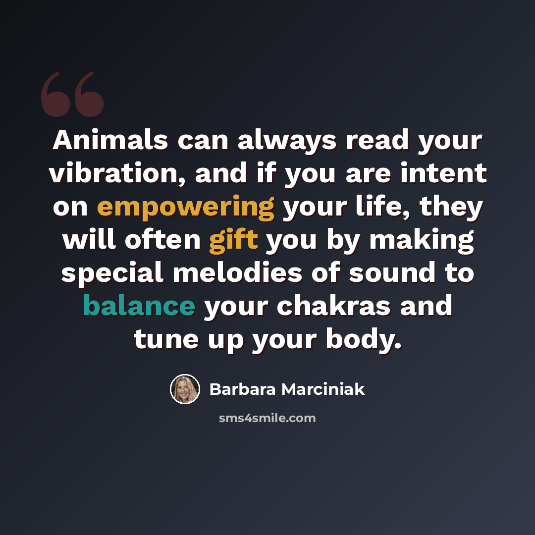 “Animals can always read your vibration, and if you are intent on empowering your life, they will often gift you by making special melodies of sound to balance your chakras and tune up your body.” quote by Barbara Marciniak