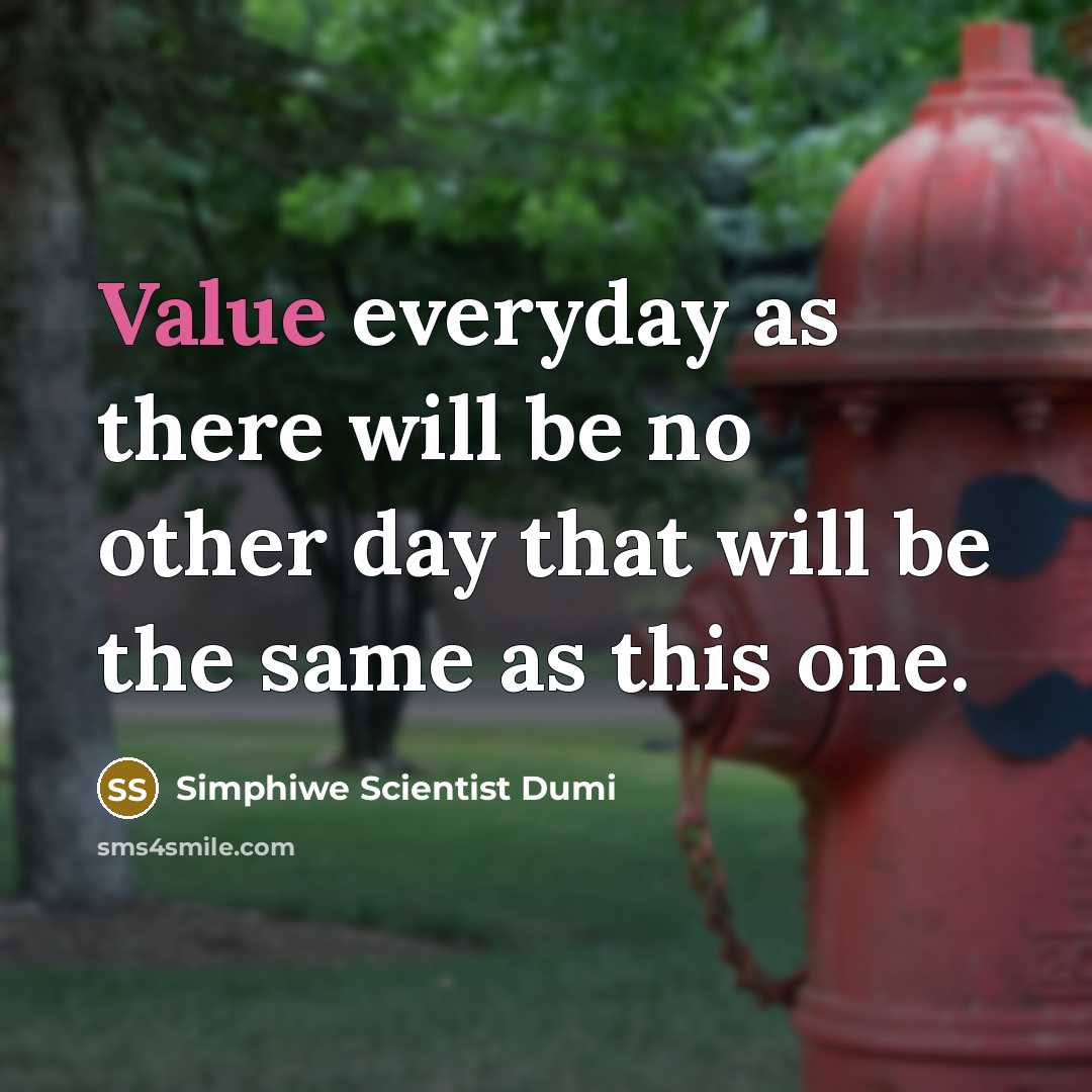 “Value everyday as there will be no other day that will be the same as this one.” quote by Simphiwe Scientist Dumi