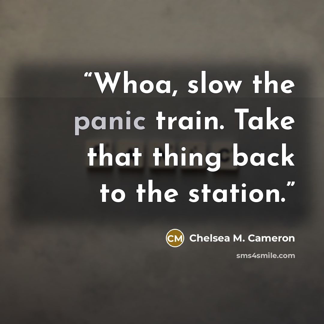“Whoa, slow the panic train. Take that thing back to the station.” quote by Chelsea M. Cameron