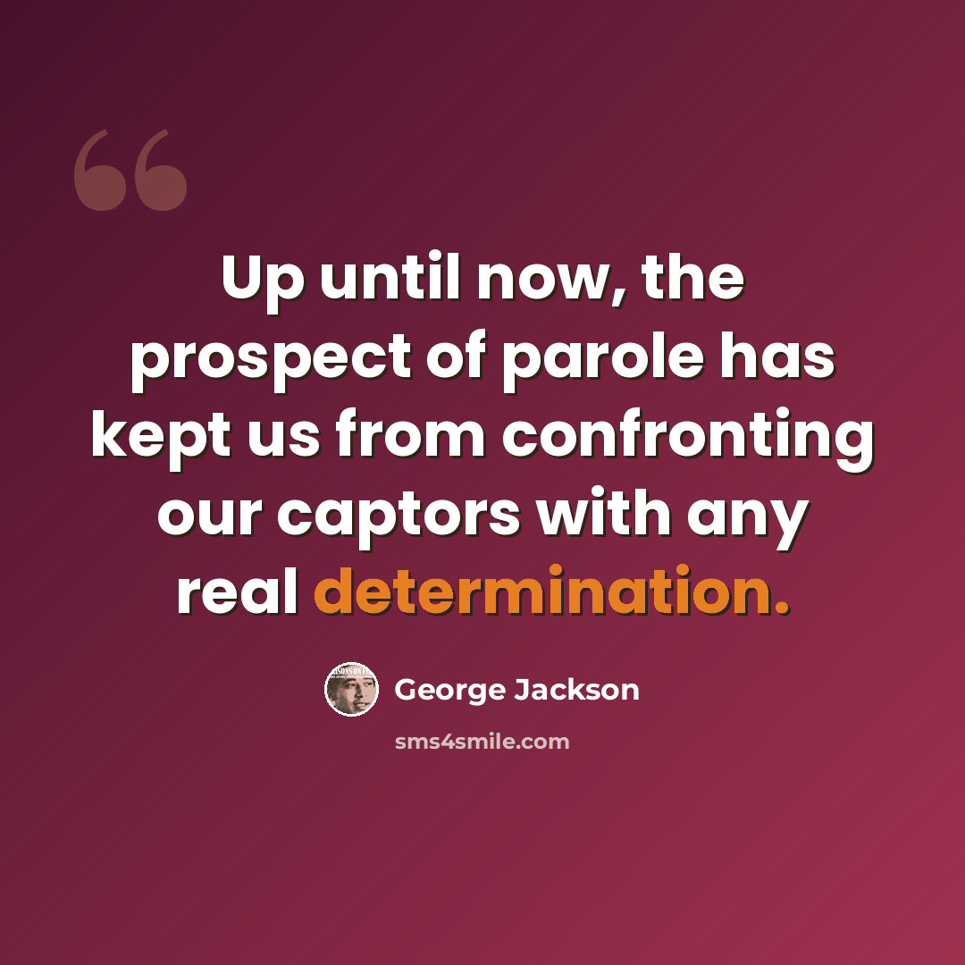 “Up until now, the prospect of parole has kept us from confronting our captors with any real determination.” quote by George Jackson