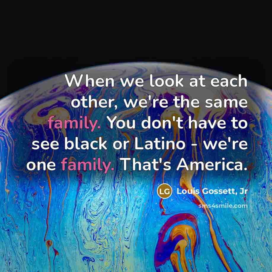“When we look at each other, we're the same family. You don't have to see black or Latino - we're one family. That's America.” quote by Louis Gossett, Jr