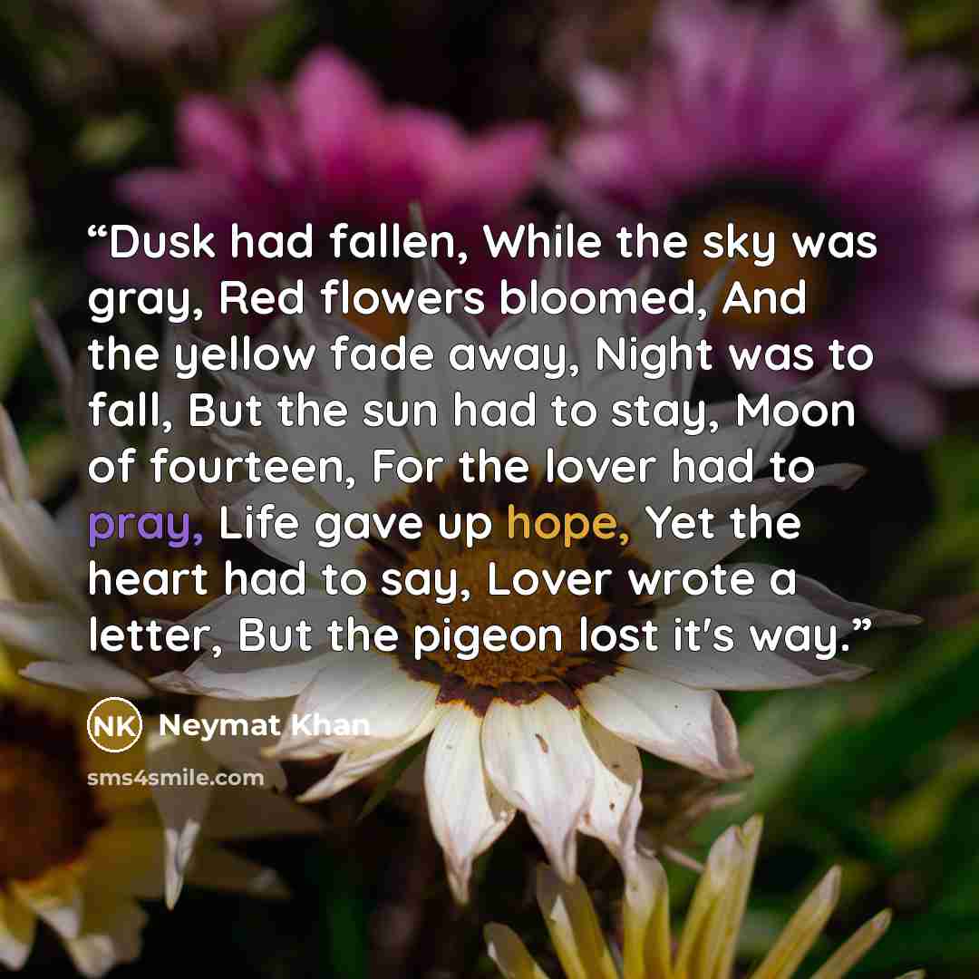 “Dusk had fallen, While the sky was gray, Red flowers bloomed, And the yellow fade away, Night was to fall, But the sun had to stay, Moon of fourteen, For the lover had to pray, Life gave up hope, Yet the heart had to say, Lover wrote a letter, But the pigeon lost it's way.” quote by Neymat Khan