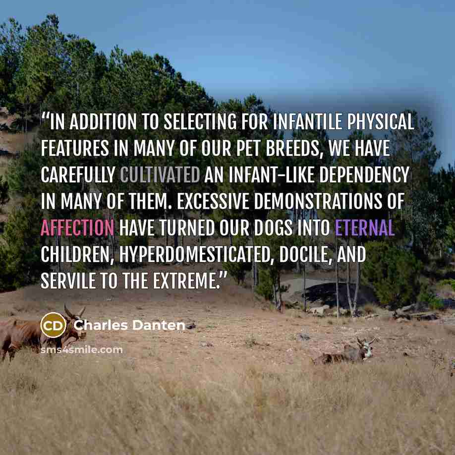 “In addition to selecting for infantile physical features in many of our pet breeds, we have carefully cultivated an infant-like dependency in many of them. Excessive demonstrations of affection have turned our dogs into eternal children, hyperdomesticated, docile, and servile to the extreme.” quote by Charles Danten