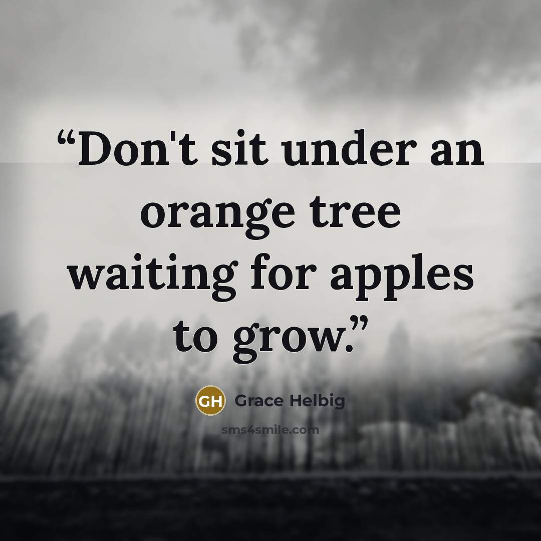 “Don't sit under an orange tree waiting for apples to grow.” quote by Grace Helbig