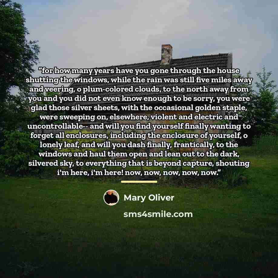 “for how many years have you gone through the house shutting the windows, while the rain was still five miles away and veering, o plum-colored clouds, to the north away from you and you did not even know enough to be sorry, you were glad those silver sheets, with the occasional golden staple, were…” quote by mary oliver
