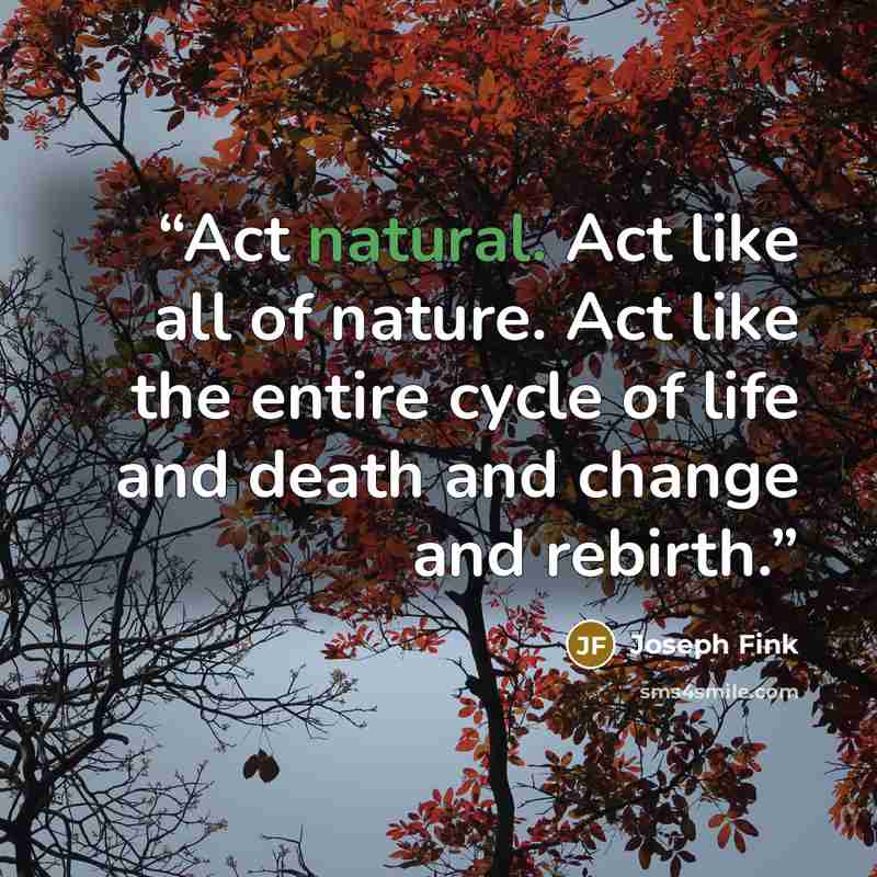 “Act natural. Act like all of nature. Act like the entire cycle of life and death and change and rebirth.” quote by Joseph Fink