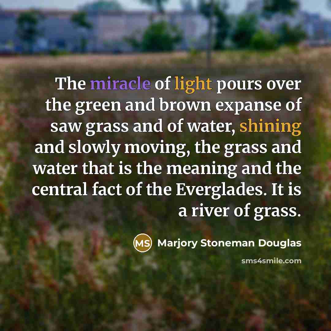 “The miracle of light pours over the green and brown expanse of saw grass and of water, shining and slowly moving, the grass and water that is the meaning and the central fact of the Everglades. It is a river of grass.” quote by Marjory Stoneman Douglas