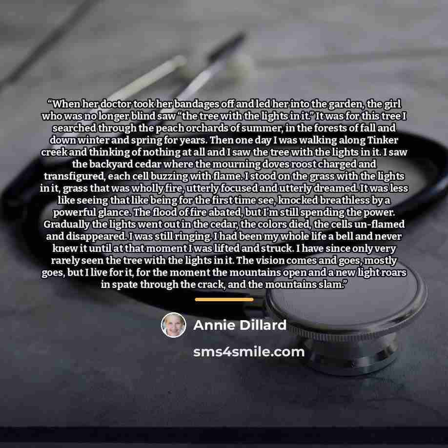 “When her doctor took her bandages off and led her into the garden, the girl who was no longer blind saw “the tree with the lights in it.” It was for this tree I searched through the peach orchards of summer, in the forests of fall and down winter and spring for years. Then one day I was walking…” quote by Annie Dillard