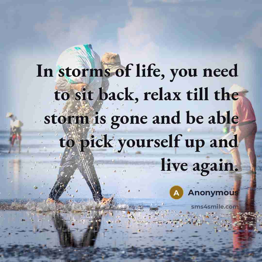 “In storms of life, you need to sit back, relax till the storm is gone and be able to pick yourself up and live again.” quote by Anonymous