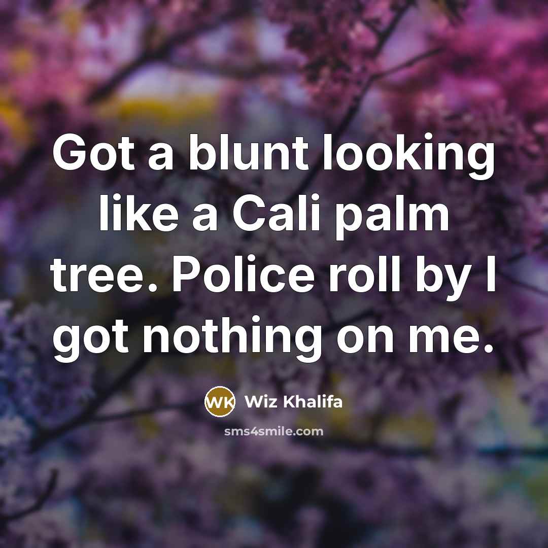 “Got a blunt looking like a Cali palm tree. Police roll by I got nothing on me.” quote by Wiz Khalifa