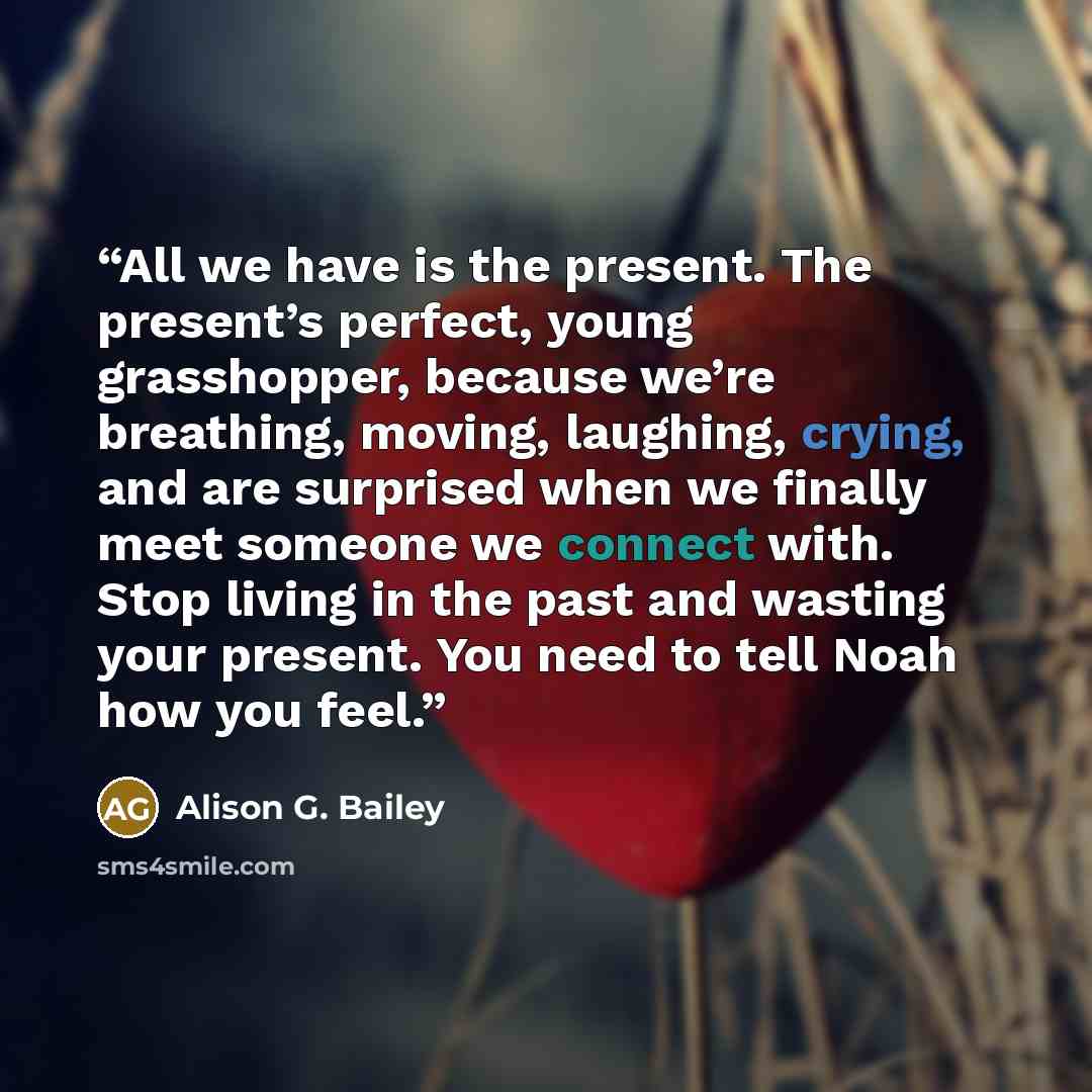 “All we have is the present. The present’s perfect, young grasshopper, because we’re breathing, moving, laughing, crying, and are surprised when we finally meet someone we connect with. Stop living in the past and wasting your present. You need to tell Noah how you feel.” quote by Alison G. Bailey