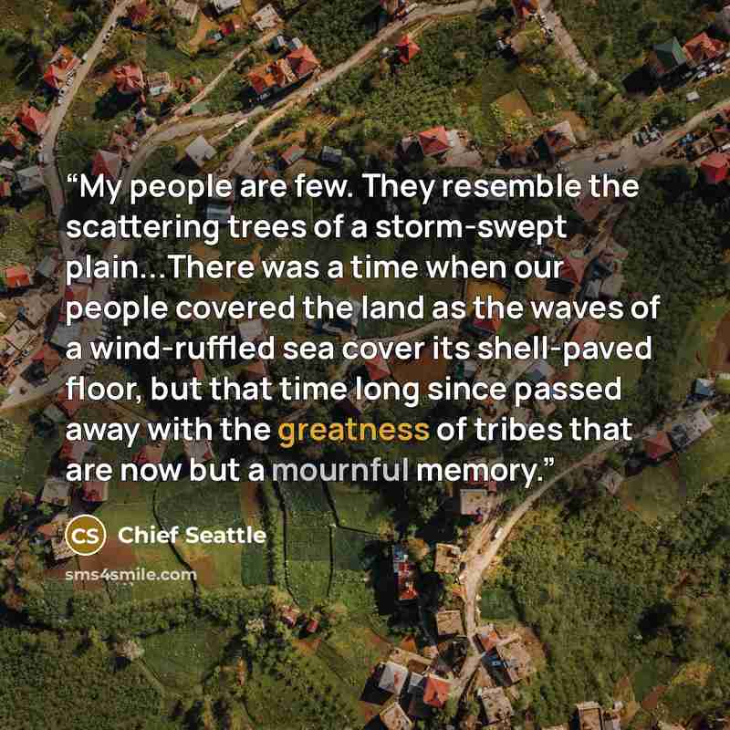 “My people are few. They resemble the scattering trees of a storm-swept plain...There was a time when our people covered the land as the waves of a wind-ruffled sea cover its shell-paved floor, but that time long since passed away with the greatness of tribes that are now but a mournful memory.” quote by Chief Seattle