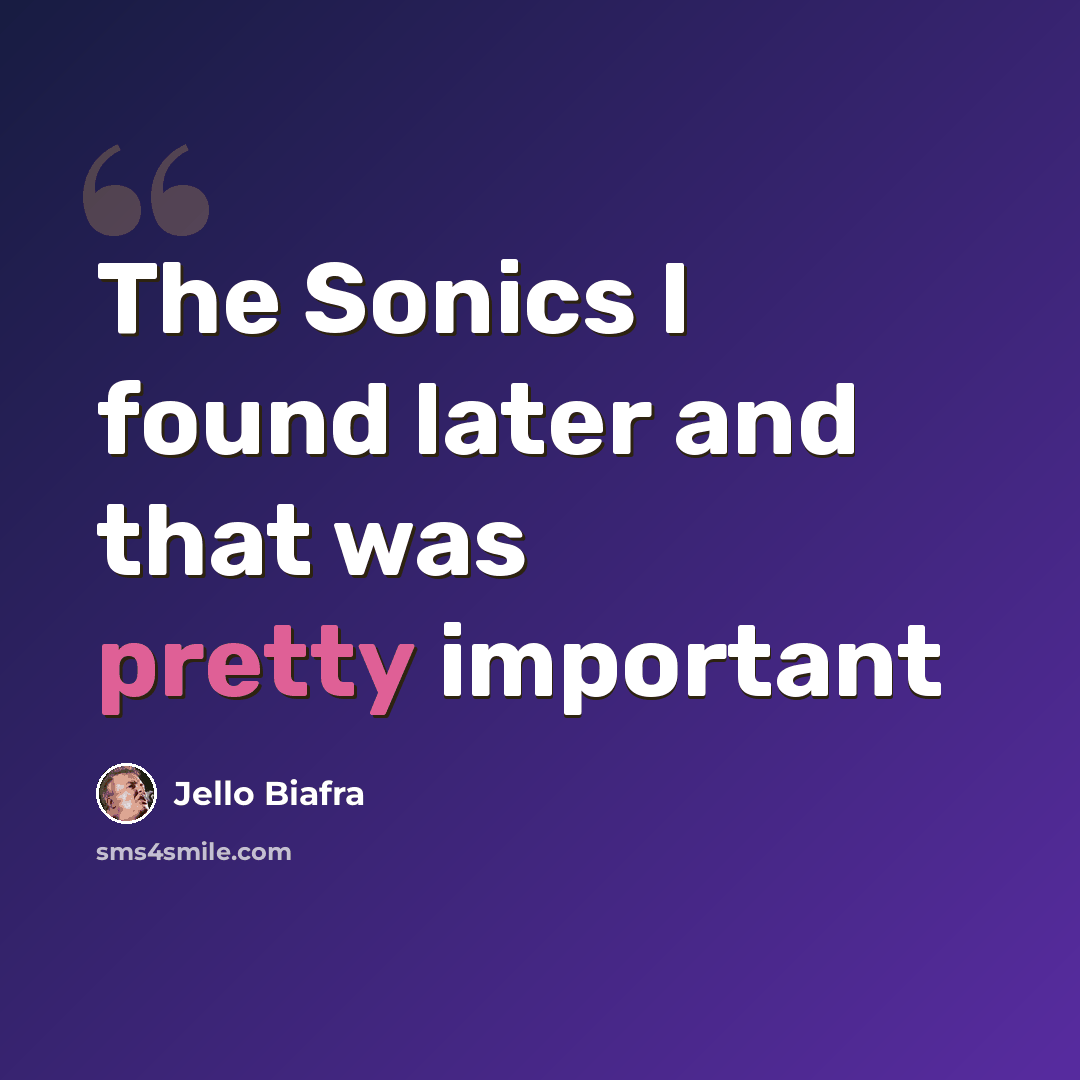 “The Sonics I found later and that was pretty important” quote by Jello Biafra