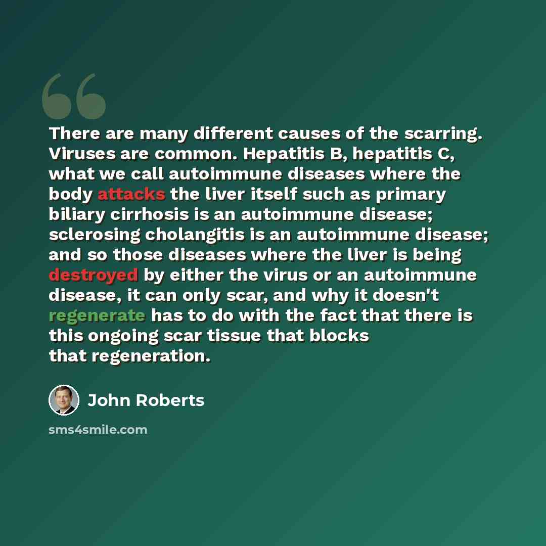 “There are many different causes of the scarring. Viruses are common. Hepatitis B, hepatitis C, what we call autoimmune diseases where the body attacks the liver itself such as primary biliary cirrhosis is an autoimmune disease; sclerosing cholangitis is an autoimmune disease; and so those diseases…” quote by John Roberts