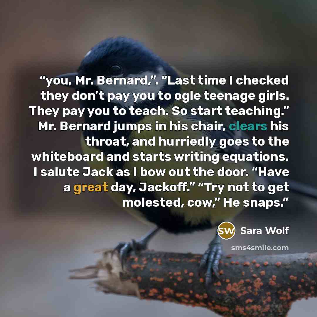 “you, Mr. Bernard,”. “Last time I checked they don’t pay you to ogle teenage girls. They pay you to teach. So start teaching.” Mr. Bernard jumps in his chair, clears his throat, and hurriedly goes to the whiteboard and starts writing equations. I salute Jack as I bow out the door. “Have a great…” quote by Sara Wolf