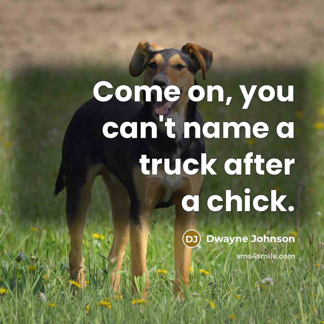 “Come on, you can't name a truck after a chick.” quote by Dwayne Johnson