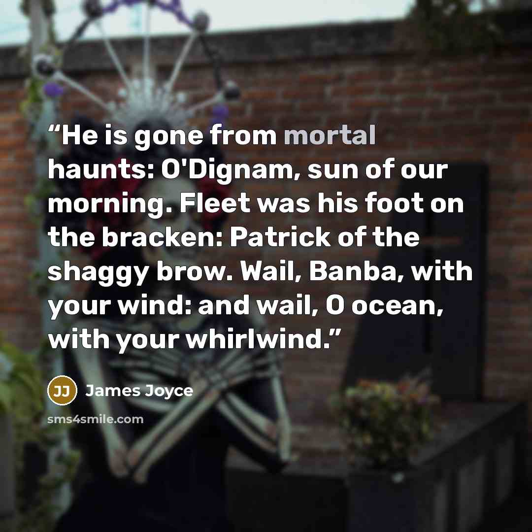 “He is gone from mortal haunts: O'Dignam, sun of our morning. Fleet was his foot on the bracken: Patrick of the shaggy brow. Wail, Banba, with your wind: and wail, O ocean, with your whirlwind.” quote by James Joyce