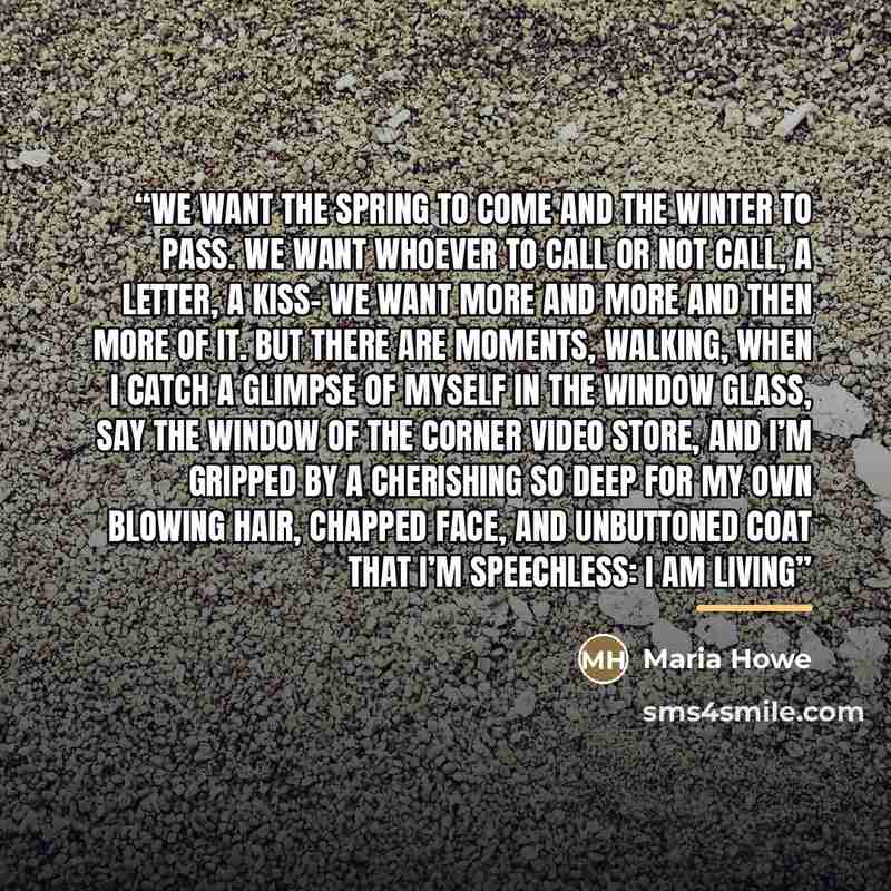 “We want the spring to come and the winter to pass. We want whoever to call or not call, a letter, a kiss- we want more and more and then more of it. But there are moments, walking, when I catch a glimpse of myself in the window glass, say the window of the corner video store, and I’m gripped by a…” quote by Maria Howe