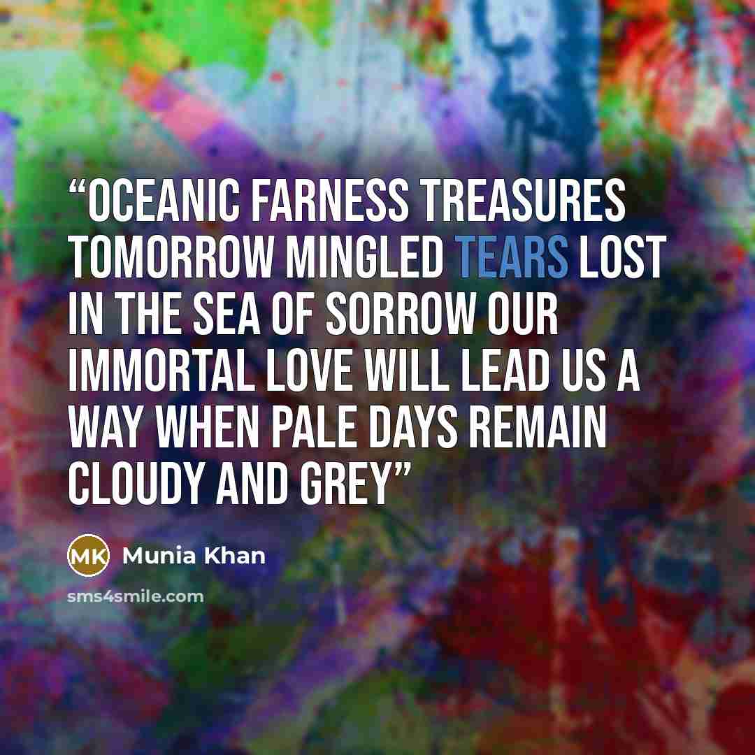 “Oceanic farness treasures tomorrow Mingled tears lost in the sea of sorrow Our immortal love will lead us a way When pale days remain cloudy and grey” quote by Munia Khan