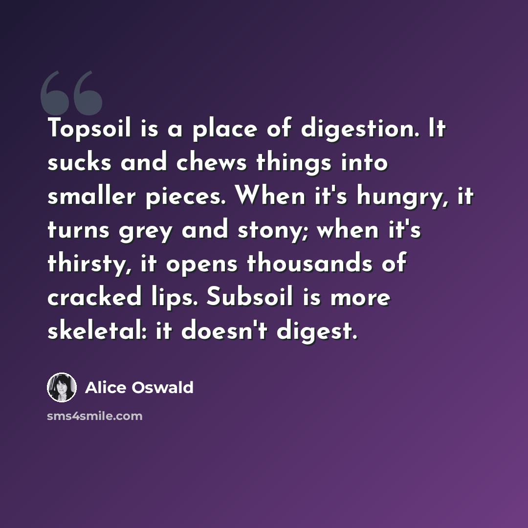 “Topsoil is a place of digestion. It sucks and chews things into smaller pieces. When it's hungry, it turns grey and stony; when it's thirsty, it opens thousands of cracked lips. Subsoil is more skeletal: it doesn't digest.” quote by Alice Oswald