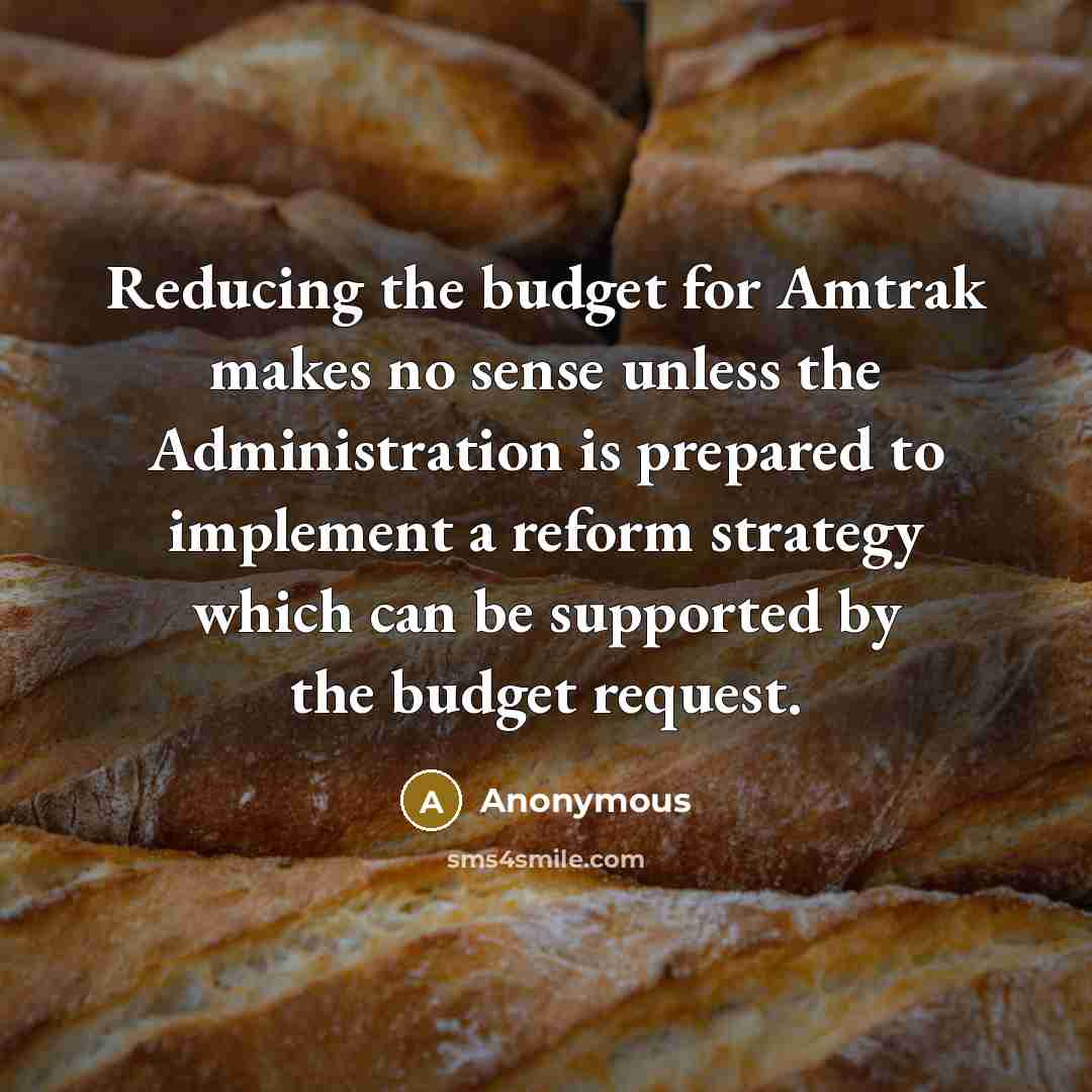 “Reducing the budget for Amtrak makes no sense unless the Administration is prepared to implement a reform strategy which can be supported by the budget request.” quote by Anonymous