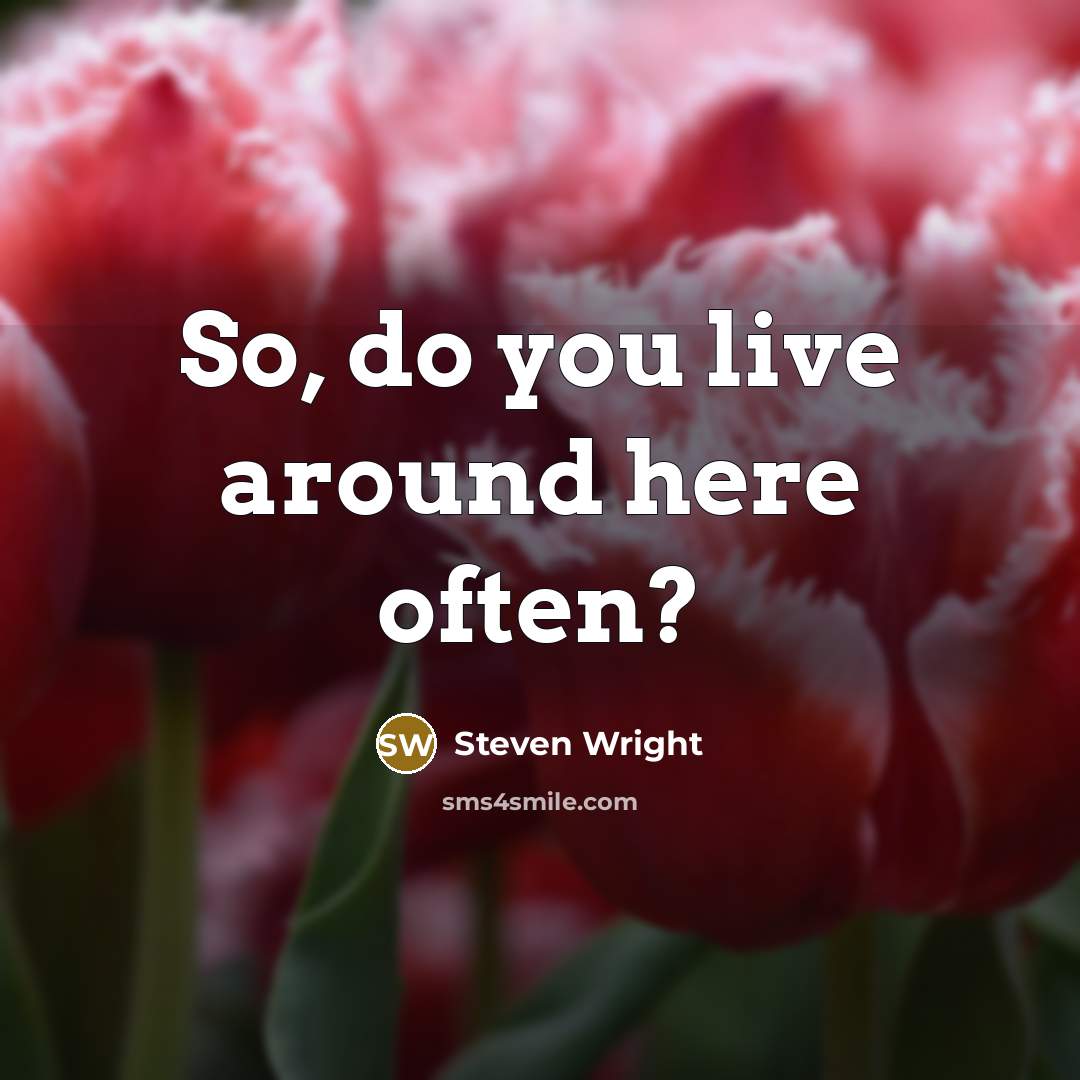 “So, do you live around here often?” quote by Steven Wright