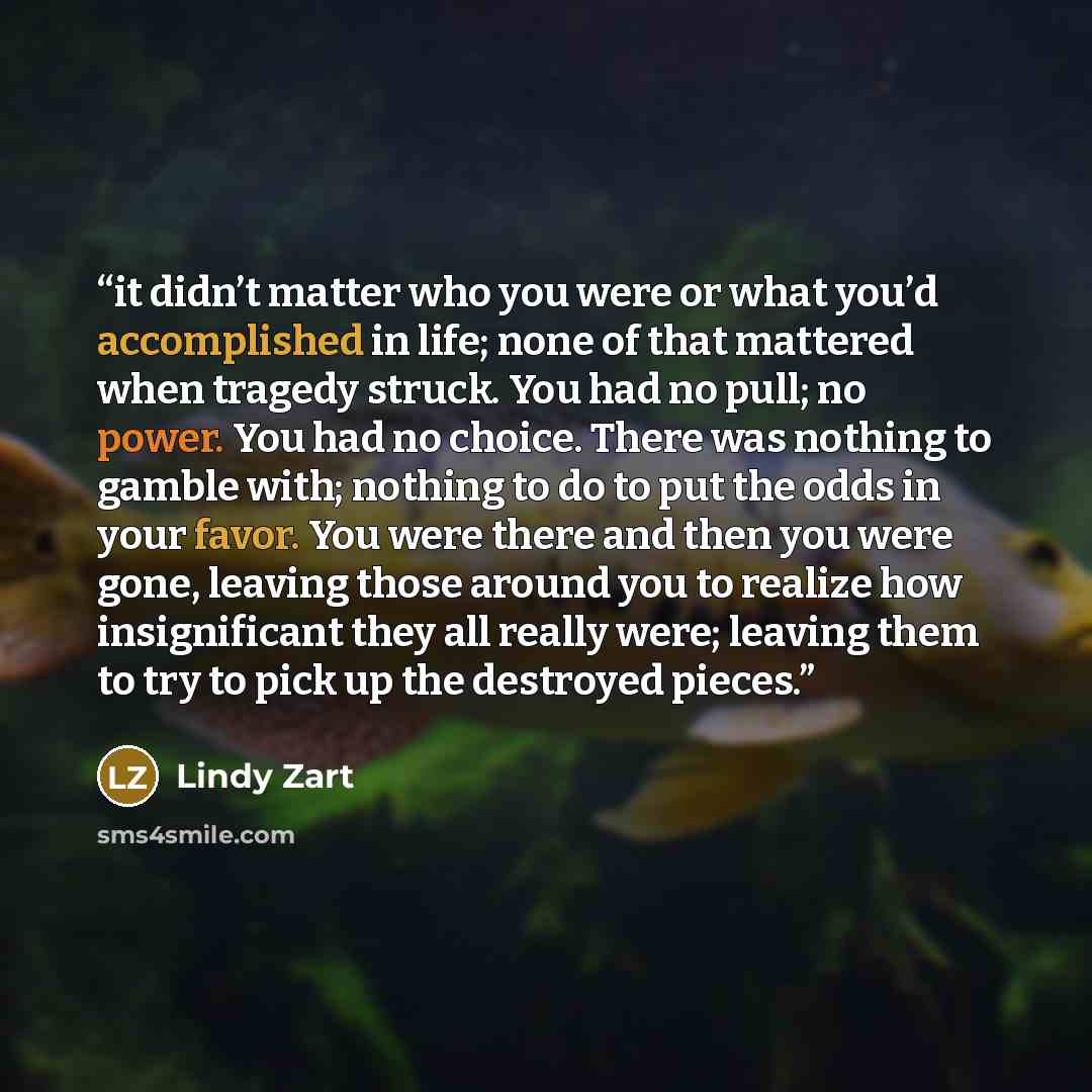 “it didn’t matter who you were or what you’d accomplished in life; none of that mattered when tragedy struck. You had no pull; no power. You had no choice. There was nothing to gamble with; nothing to do to put the odds in your favor. You were there and then you were gone, leaving those around you…” quote by Lindy Zart