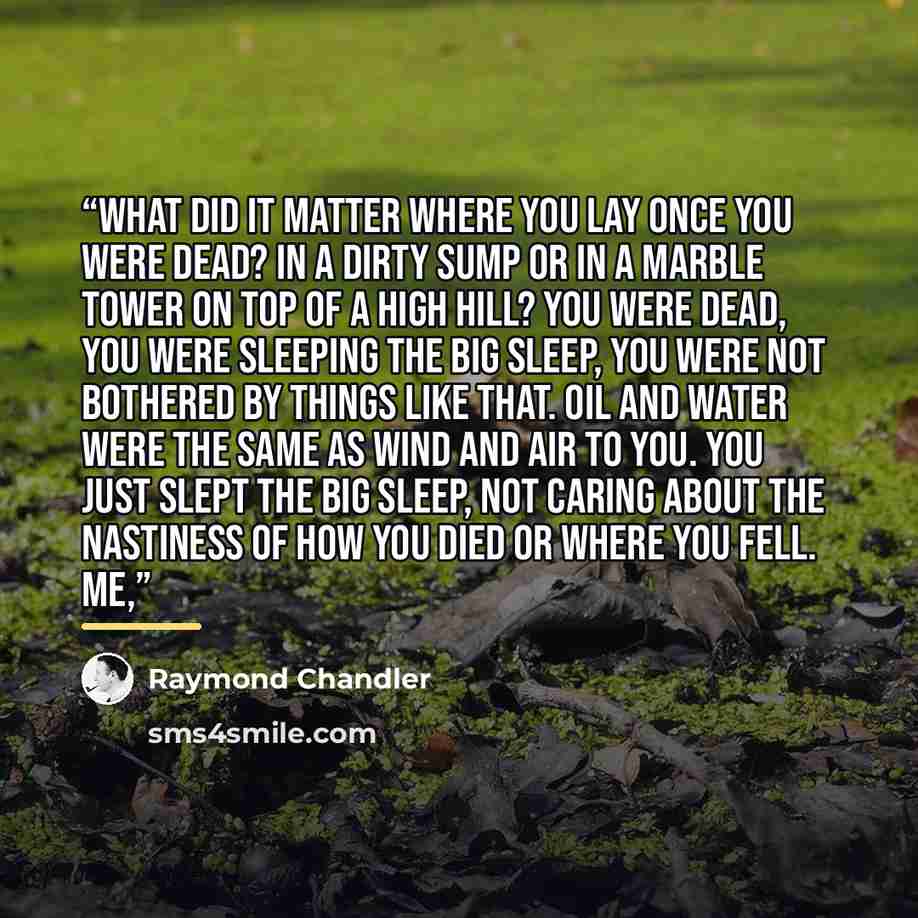 “What did it matter where you lay once you were dead? In a dirty sump or in a marble tower on top of a high hill? You were dead, you were sleeping the big sleep, you were not bothered by things like that. Oil and water were the same as wind and air to you. You just slept the big sleep, not caring…” quote by Raymond Chandler