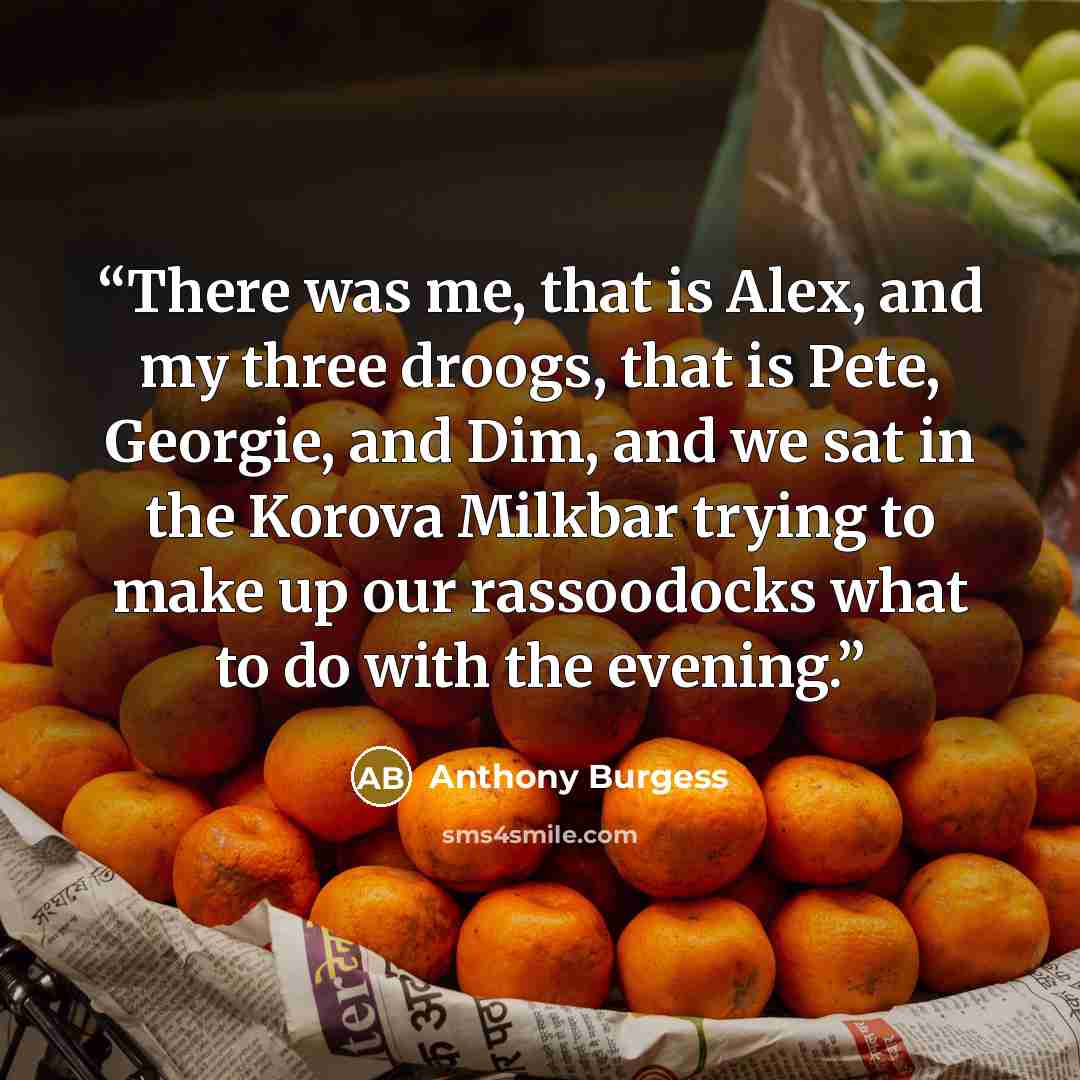 “There was me, that is Alex, and my three droogs, that is Pete, Georgie, and Dim, and we sat in the Korova Milkbar trying to make up our rassoodocks what to do with the evening.” quote by Anthony Burgess