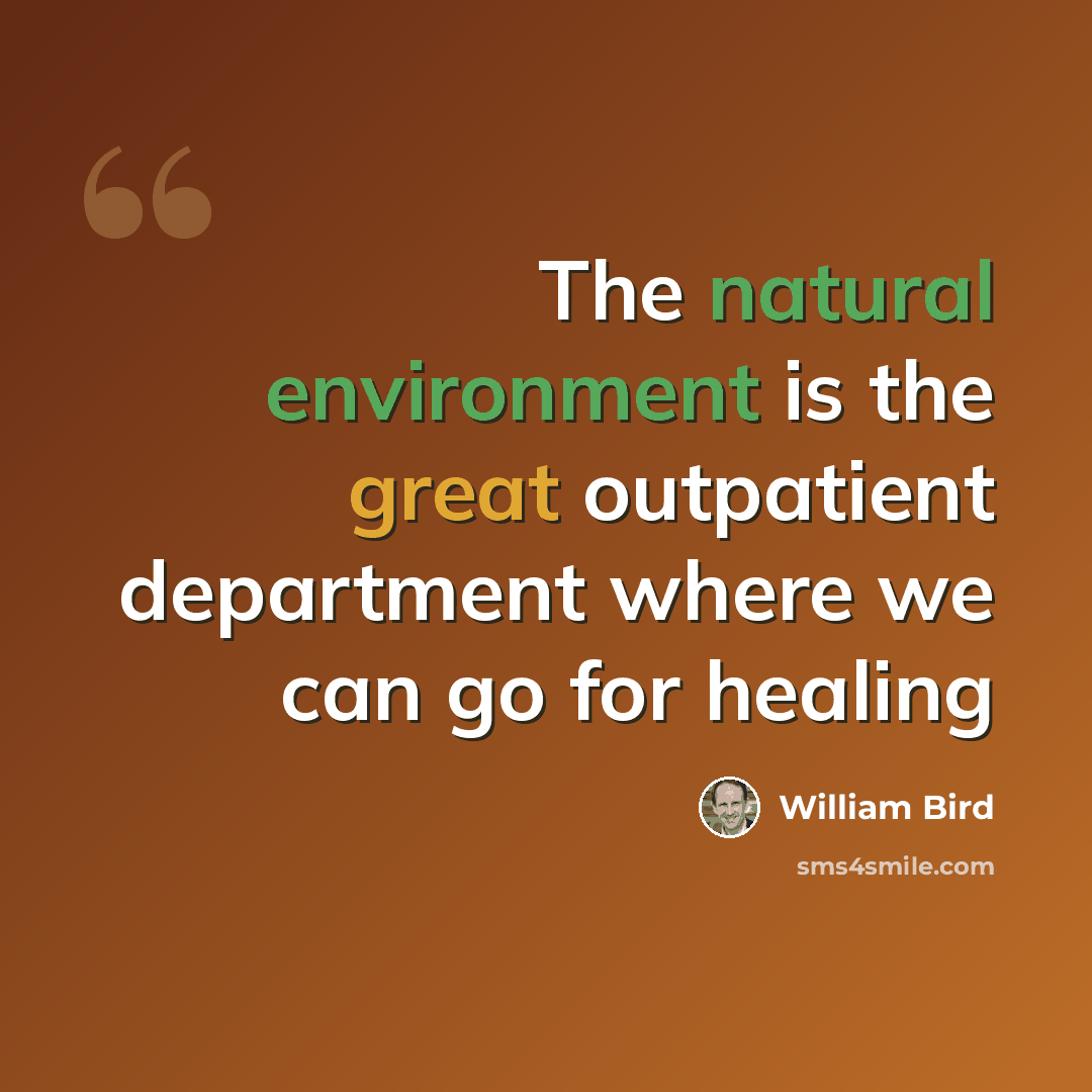 “The natural environment is the great outpatient department where we can go for healing” quote by William Bird