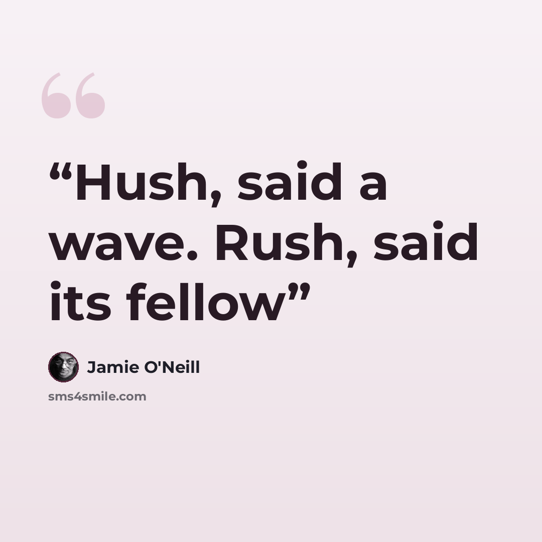 “Hush, said a wave. Rush, said its fellow” quote by Jamie O'Neill