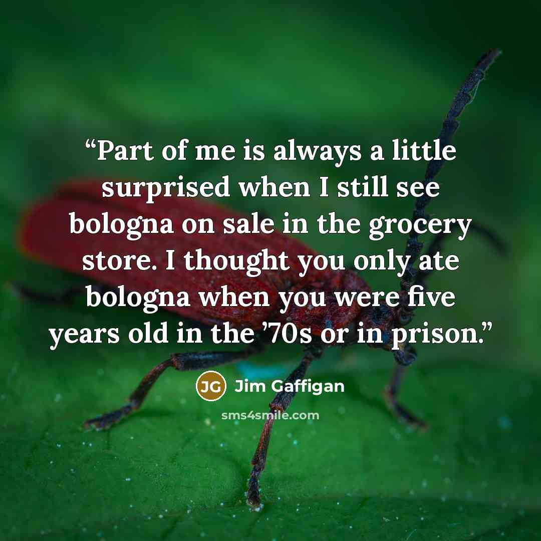 “Part of me is always a little surprised when I still see bologna on sale in the grocery store. I thought you only ate bologna when you were five years old in the ’70s or in prison.” quote by Jim Gaffigan