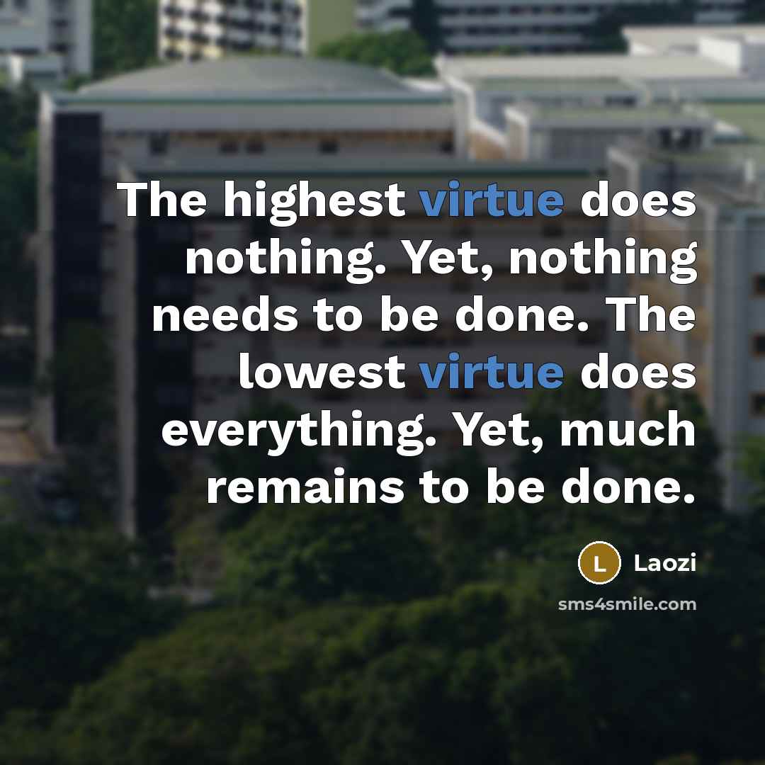 “The highest virtue does nothing. Yet, nothing needs to be done. The lowest virtue does everything. Yet, much remains to be done.” quote by Laozi